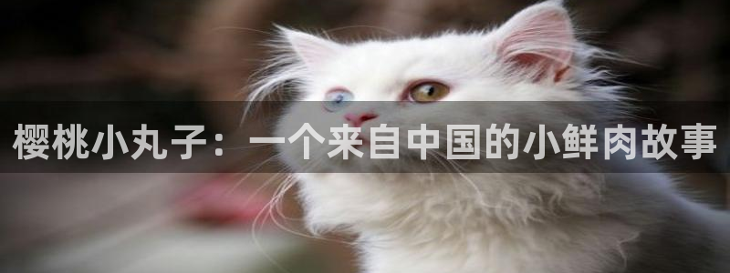 妖姬漫画app下载安装免费：樱桃小丸子：一个来自中国的小鲜肉故事