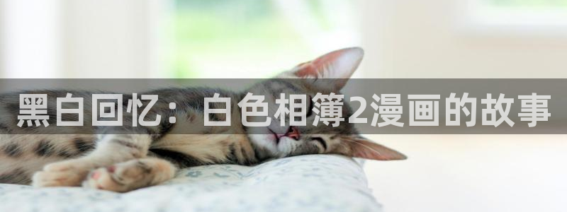 妖姬漫画.：黑白回忆：白色相簿2漫画的故事