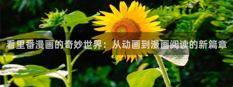 妖姬漫画免费版下载：看里番漫画的奇妙世界：从动画到漫画阅读的新篇章