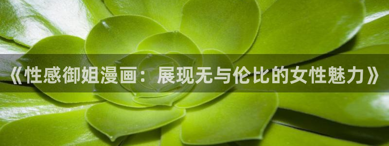妖姬漫画9.1免费：《性感御姐漫画：展现无与伦比的女性魅力》